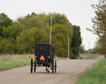 Horse and buggy